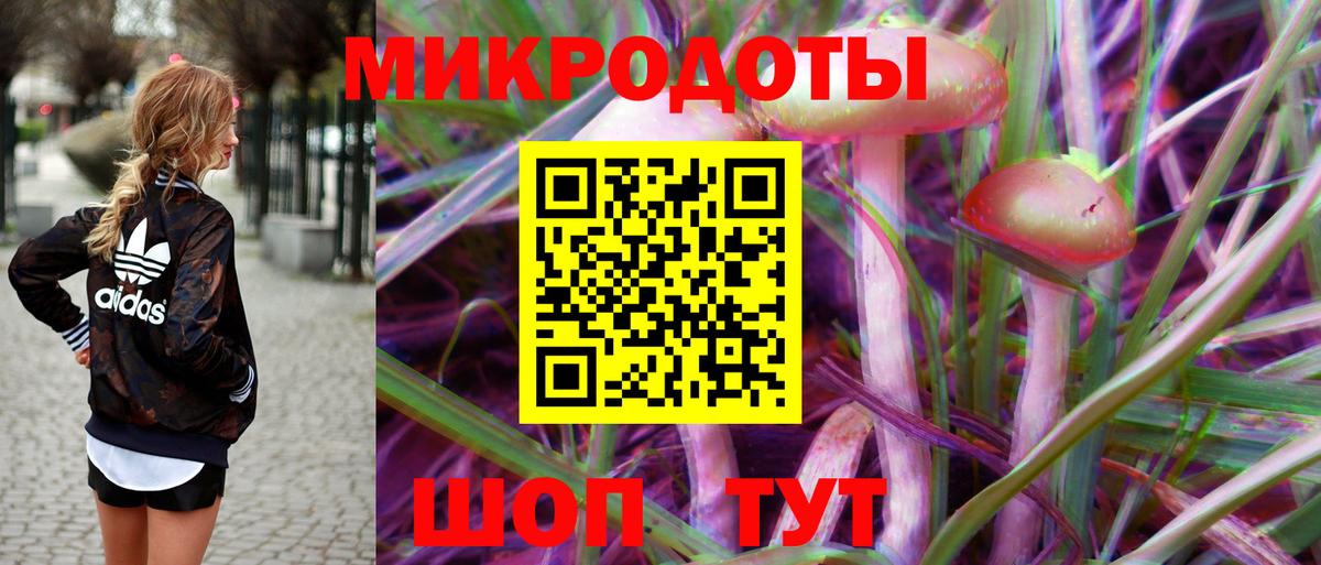 Галлюциногенные грибы Cubensis Екатеринбург