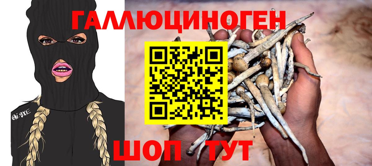 Псилоцибиновые грибы Magic Shrooms  Вход с VPN  Екатеринбург 